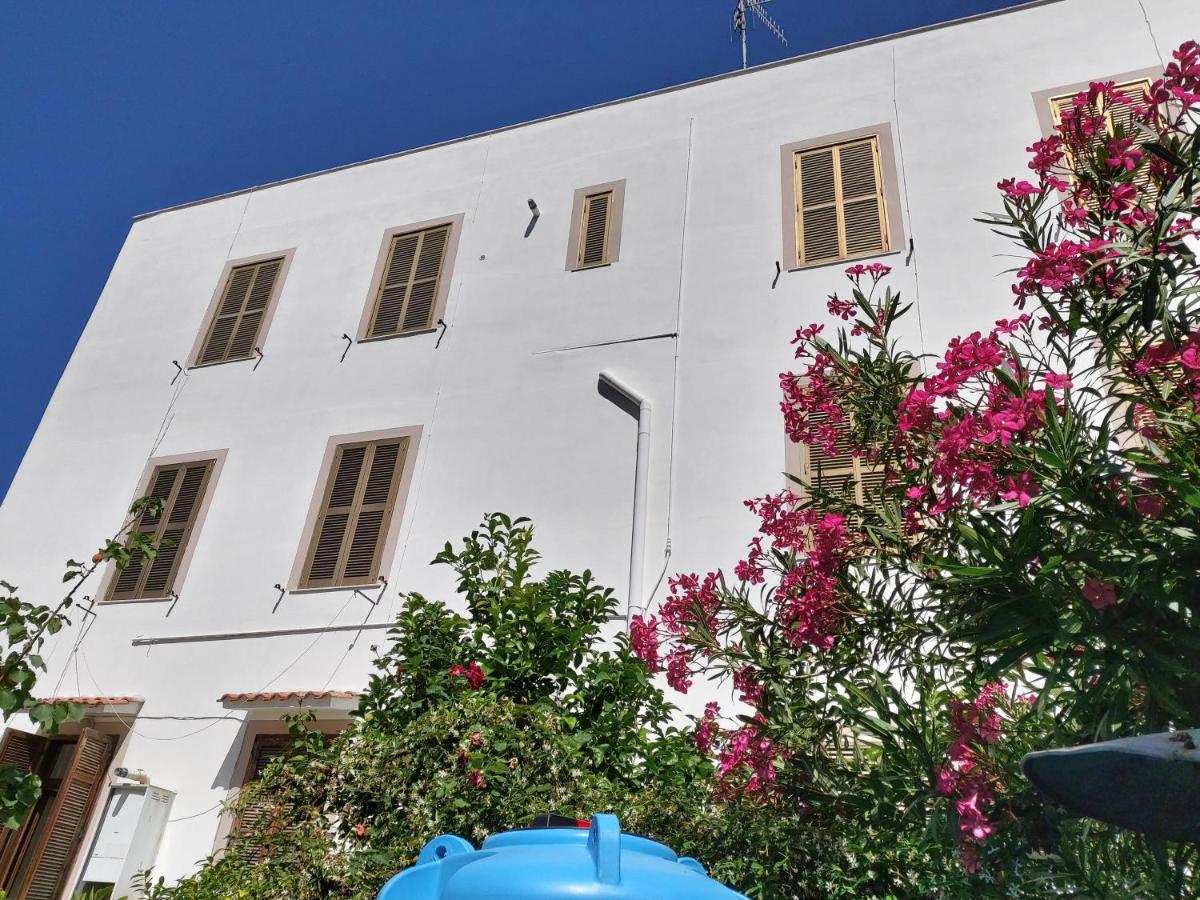 Whole Holiday Home Apartment Splendid Civitavecchia Da Pamino & Priscilla Екстер'єр фото